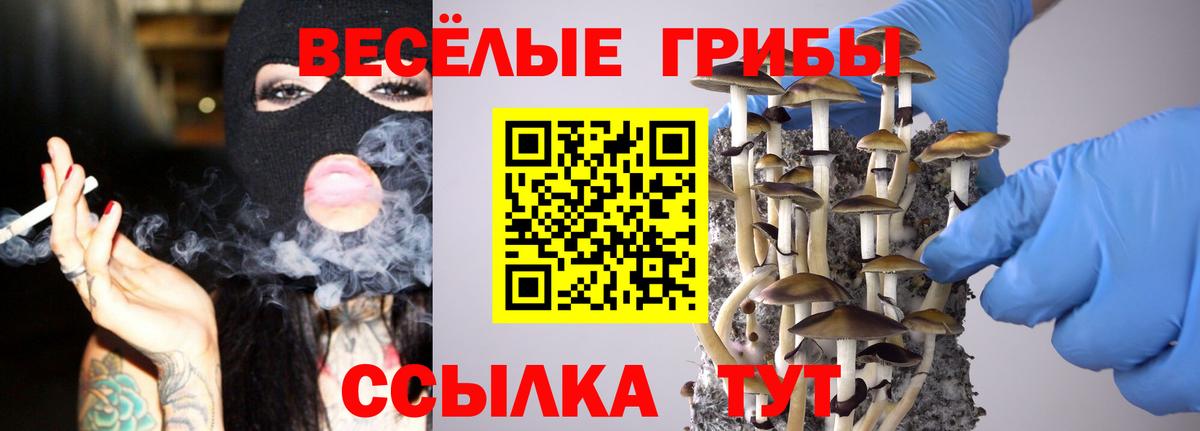 Городец  Галлюциногенные грибы прущие грибы  купить  цена  Вход с VPN 